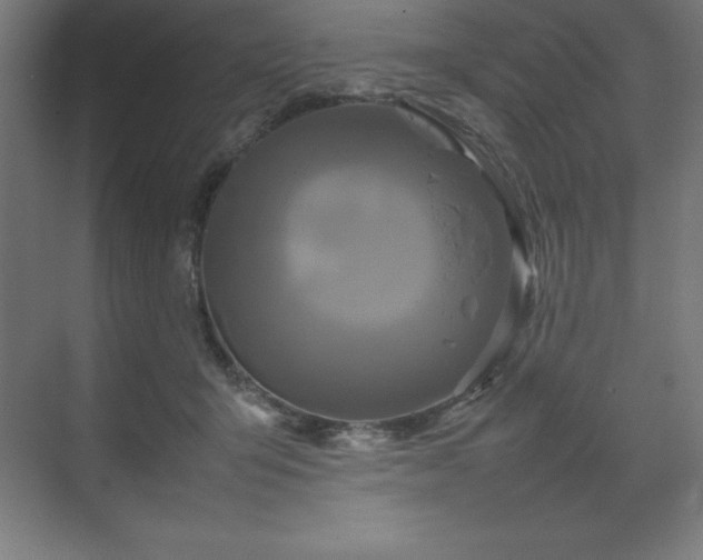 X0000070210415200606021300