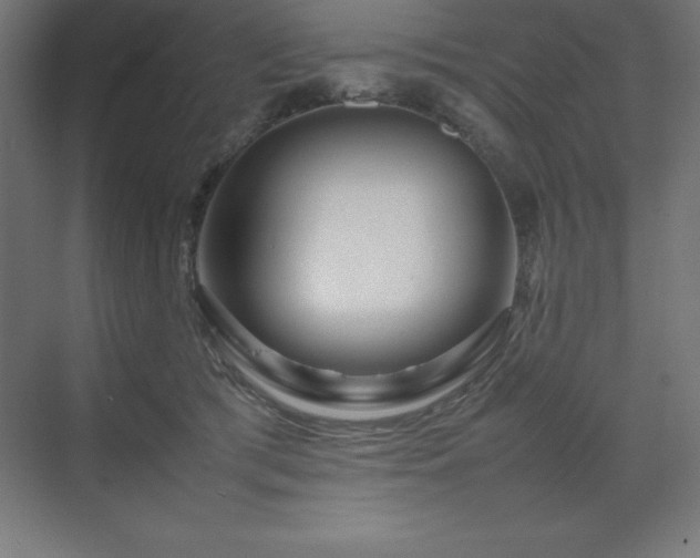 X0000070210417200606021300