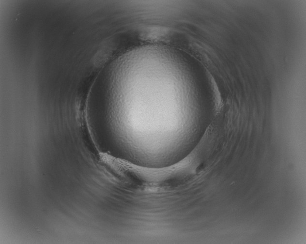 X0000070210420200606021300