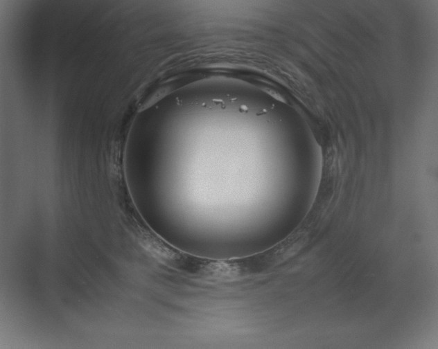 X0000070210421200606021300