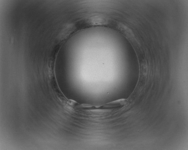 X0000070210422200606021300