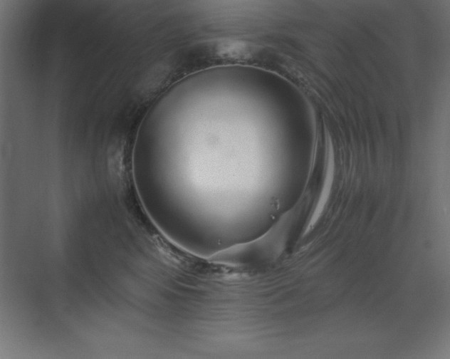 X0000070210424200606021300