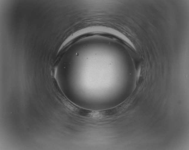 X0000070210425200606021300