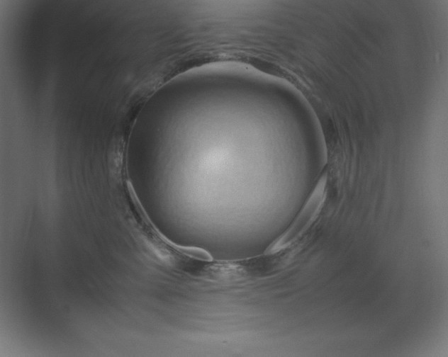 X0000070210427200606021300