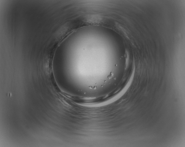 X0000070210428200606021300