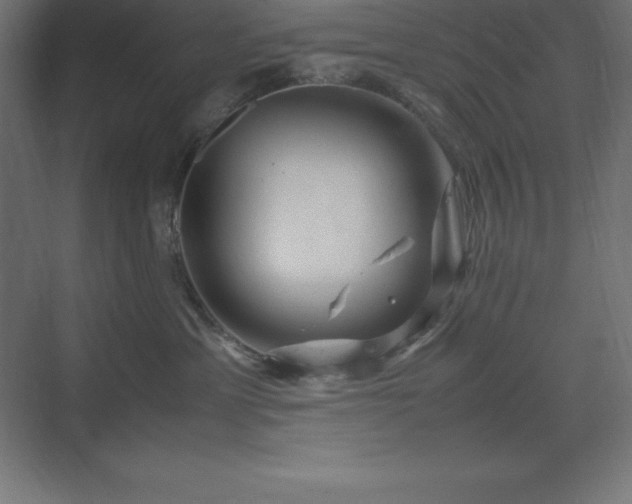 X0000070210429200606021300