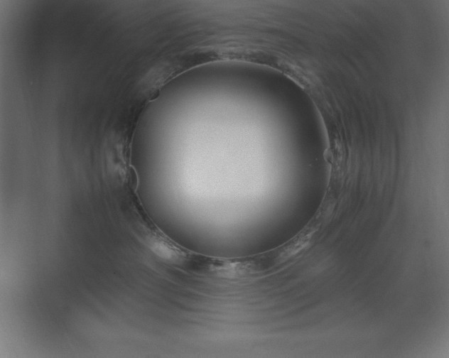 X0000070210430200606021300