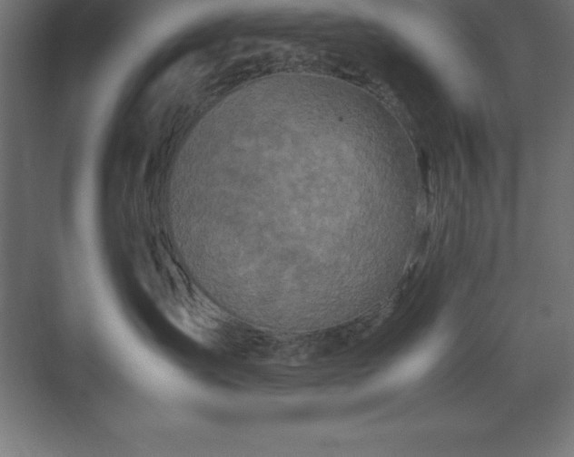 X0000070210431200606021300