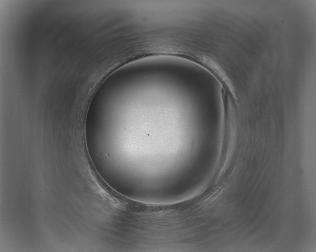 X0000070210433200606021259