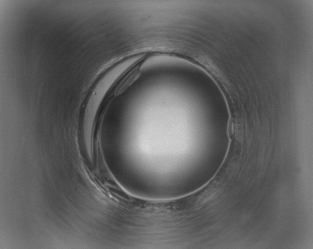 X0000070210434200606021259