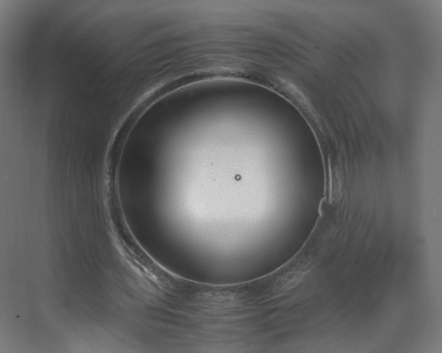 X0000070210435200606021259