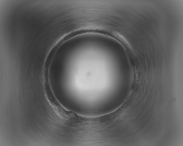 X0000070210436200606021259