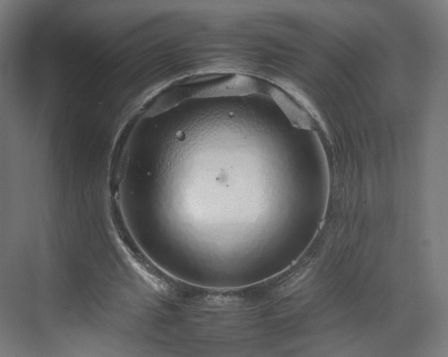 X0000070210437200606021259