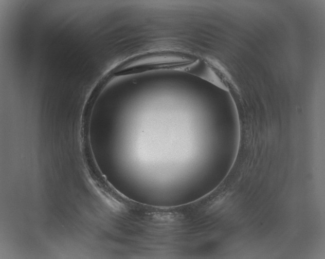 X0000070210439200606021259