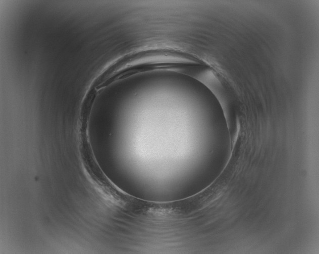 X0000070210440200606021259