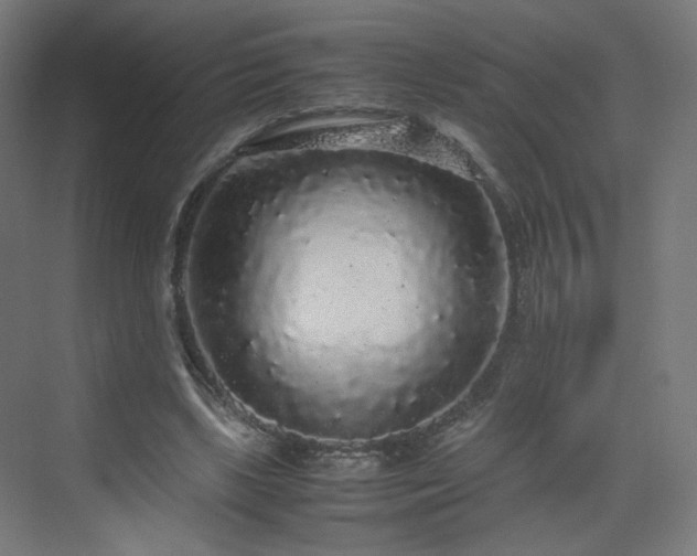 X0000070210443200606021259