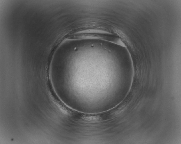 X0000070210449200606021259