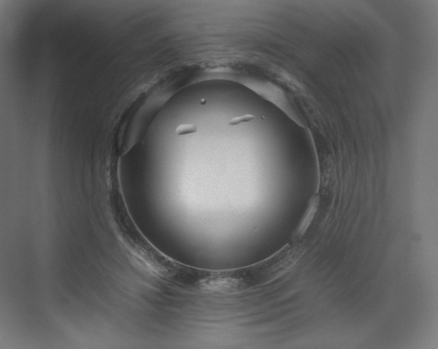 X0000070210452200606021259