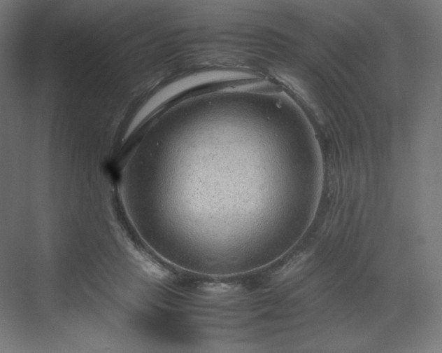 X0000070210453200606021259