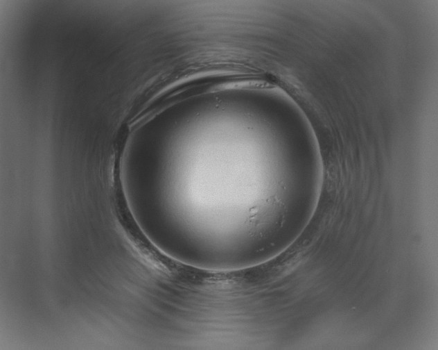 X0000070210454200606021259