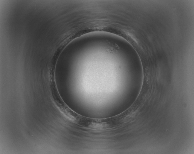 X0000070210455200606021259