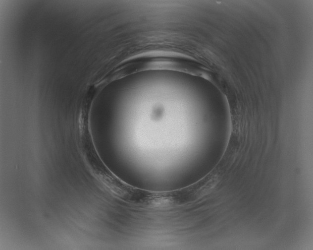 X0000070210456200606021259