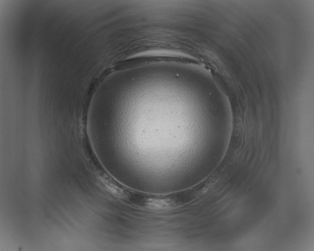 X0000070210457200606021259