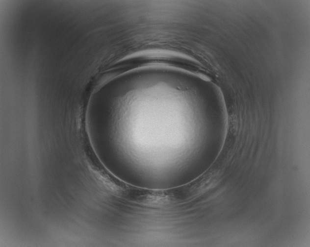 X0000070210458200606021259