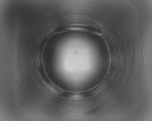 X0000070210460200606021259