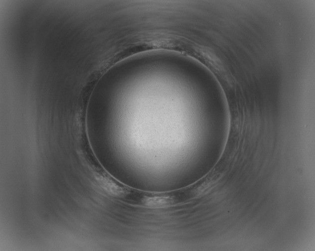 X0000070210461200606021300