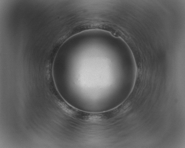 X0000070210462200606021300