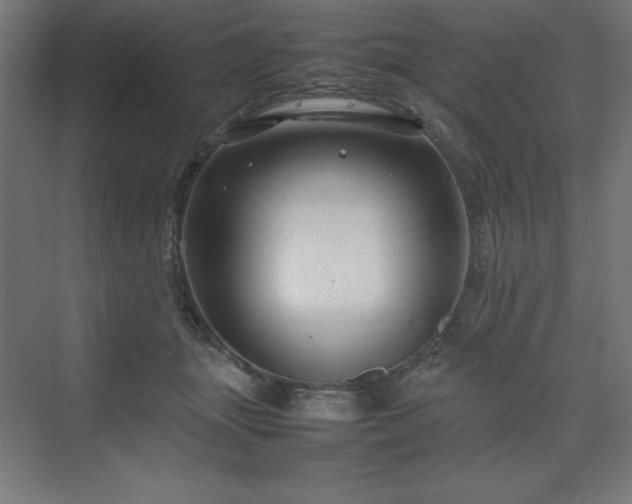 X0000070210463200606021300