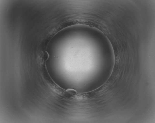 X0000070210464200606021300