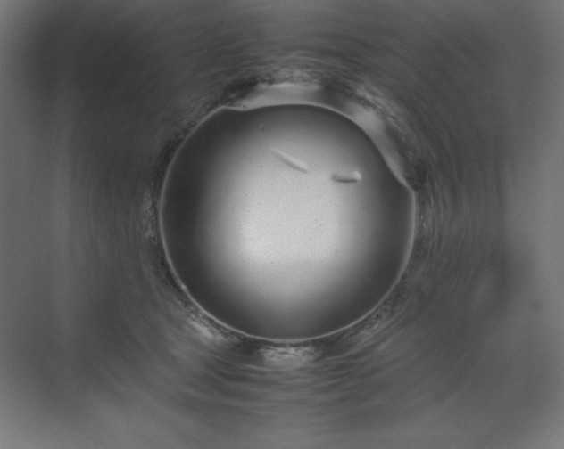 X0000070210465200606021300