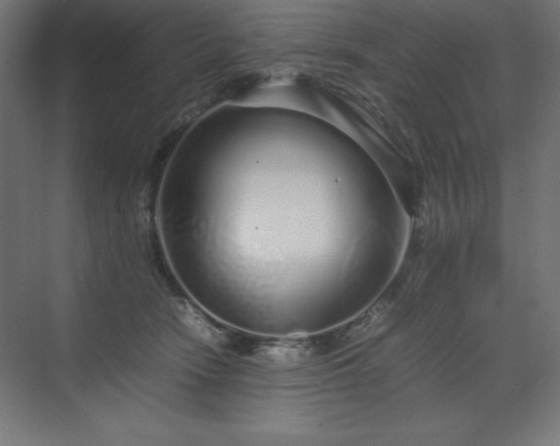 X0000070210466200606021300