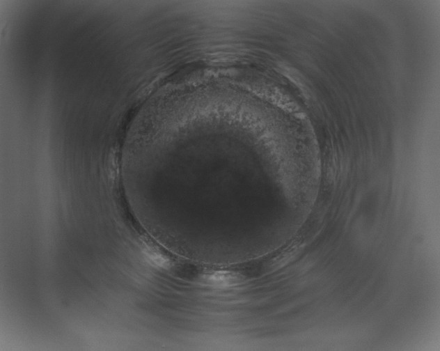 X0000070210467200606021300