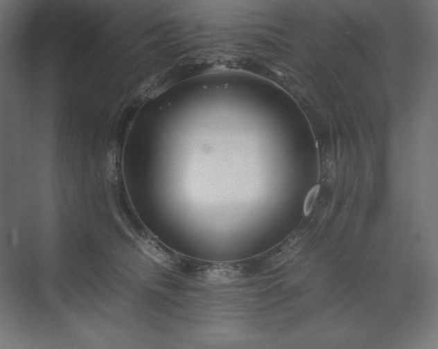 X0000070210468200606021300