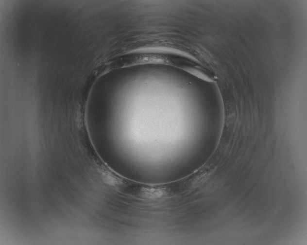 X0000070210469200606021300