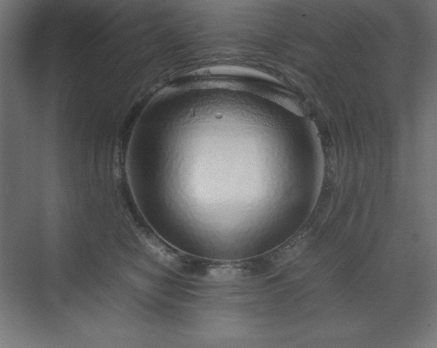 X0000070210470200606021300