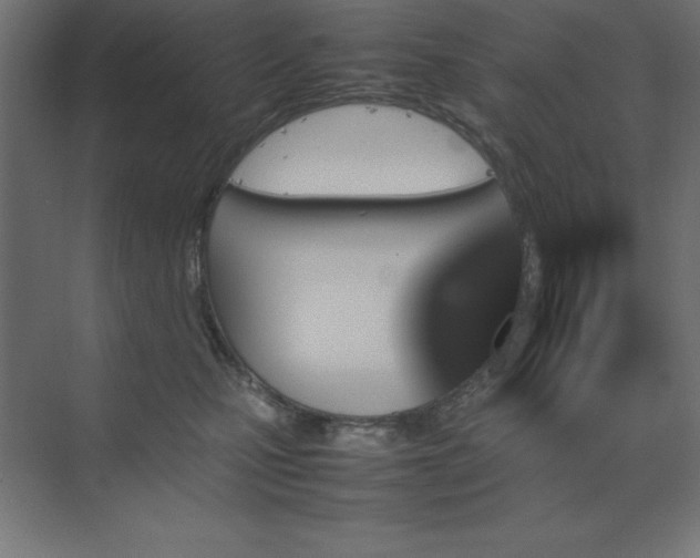 X0000070210471200606021300