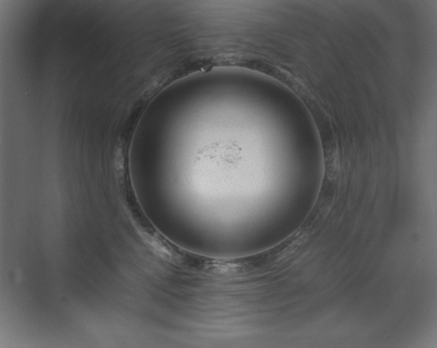 X0000070210472200606021300