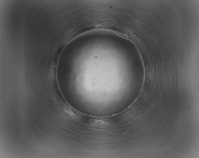 X0000070210475200606021300