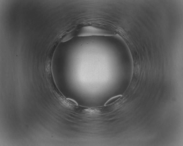 X0000070210477200606021300