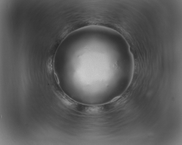 X0000070210479200606021300