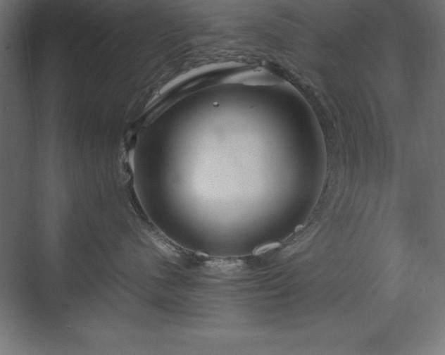 X0000070210480200606021300