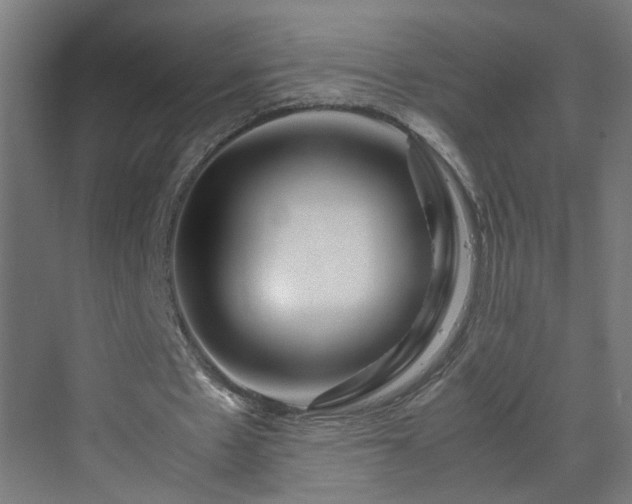 X0000070210481200606021259