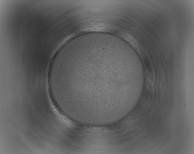 X0000070210482200606021259