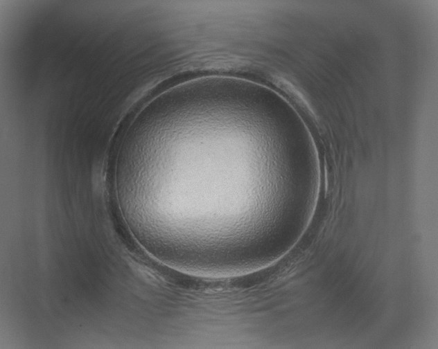 X0000070210483200606021259