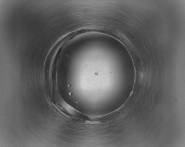 X0000070210484200606021259