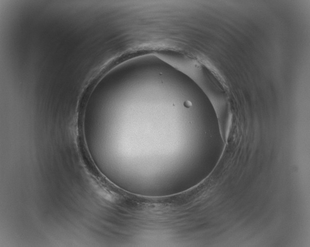 X0000070210486200606021259